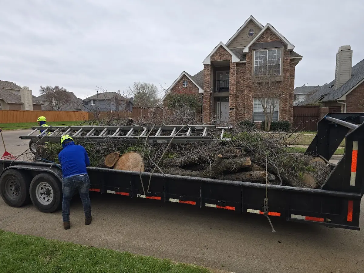 Expert Tree Fertilization with proper safety equipment in Smelterville